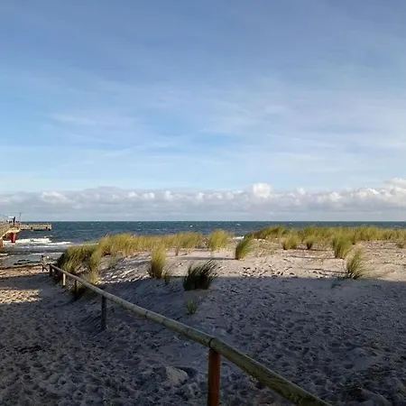 Near Seabeach Ostseeheilbad Zingst